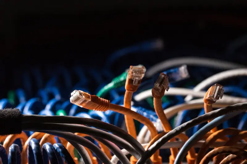 Cables de red conectados a los puertos de un switch